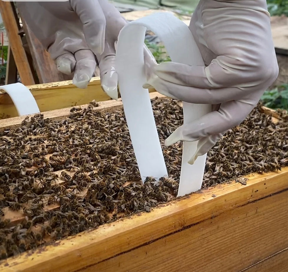 High-Dose Oxalic AcidBee Mite Treatment Strips(20stips/pack)