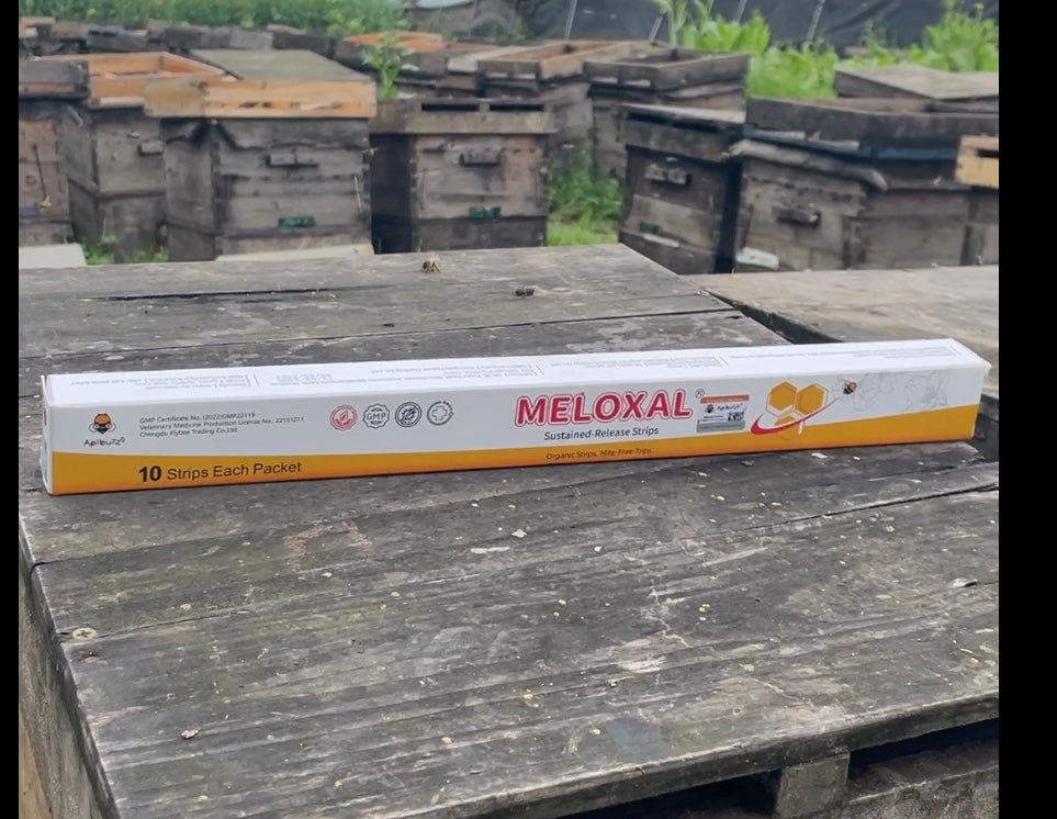 The Oxalic Acid Bee Mite Strips for Sale - Organic Varroa Treatment