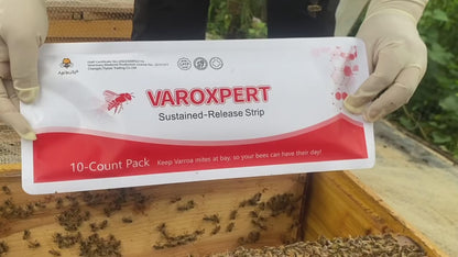 VAROXPERT Slow Release Strips